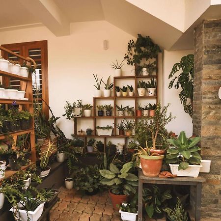 Mistygreen Homestay Thekkady Zewnętrze zdjęcie