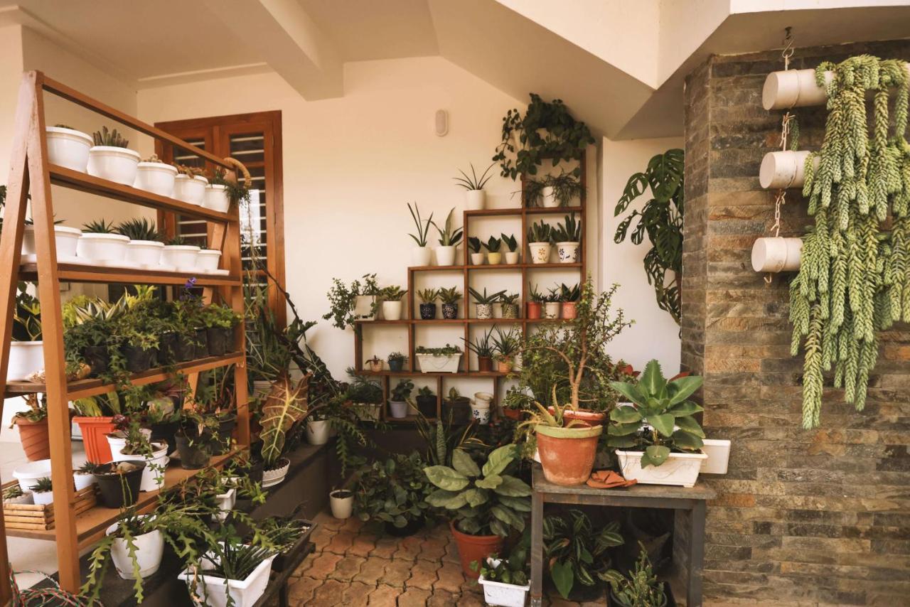 Mistygreen Homestay Thekkady Zewnętrze zdjęcie